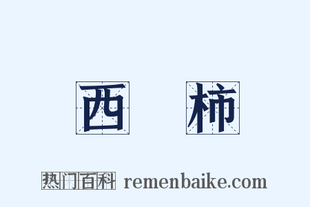 西紅柿是什么意思的图片